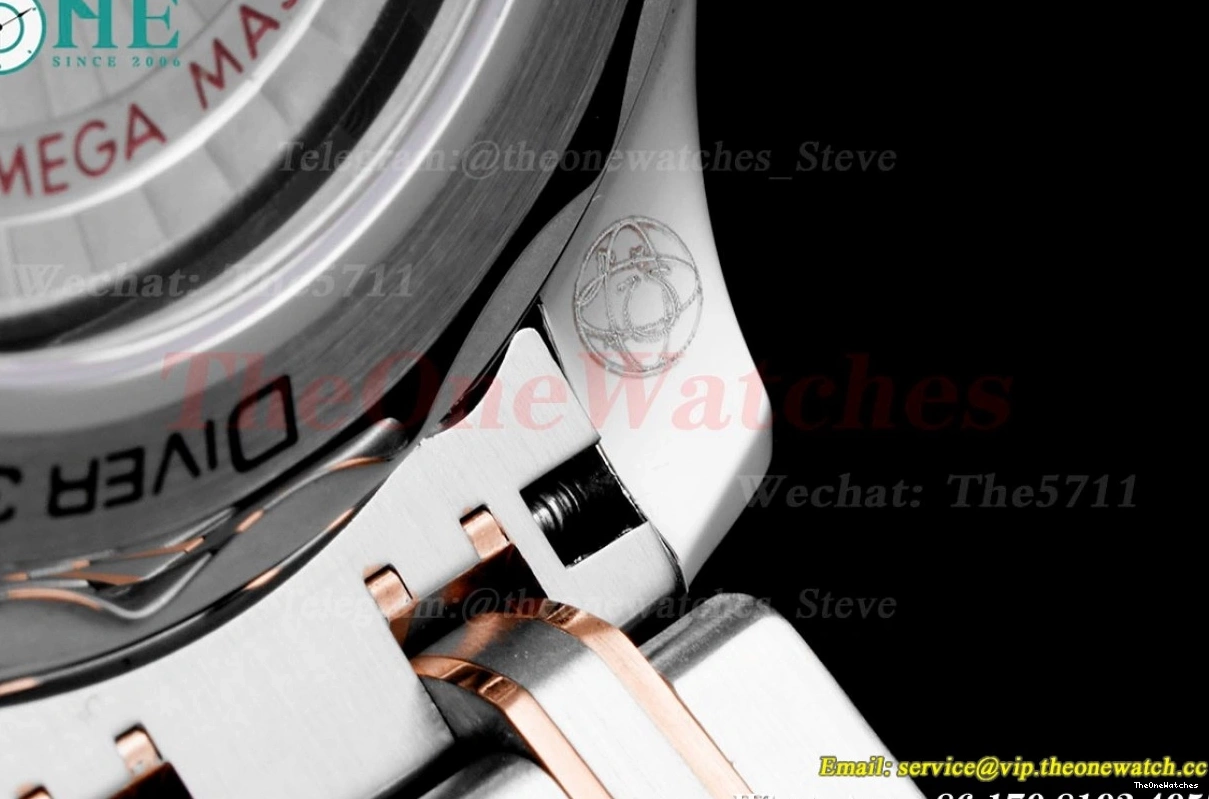 SS 300m Dial 42mm Seamaster Black A8800 JVSF RG 0226